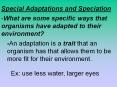 Special Adaptations and Speciation PowerPoint PPT Presentation
