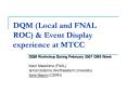 DQM (Local and FNAL ROC) PowerPoint PPT Presentation