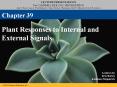 Plant Responses to Internal and External Signals PowerPoint PPT Presentation