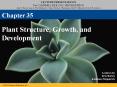 Plant Structure, Growth, and Development PowerPoint PPT Presentation