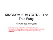 KINGDOM EUMYCOTA - The True Fungi