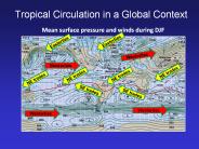 Tropical Circulation in a Global Context