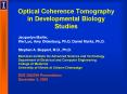Optical Coherence Tomography in Developmental Biology Studies PowerPoint PPT Presentation