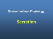 Gastrointestinal Physiology
