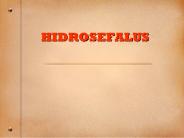 HIDROSEFALUS