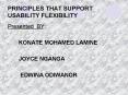 PRINCIPLES THAT SUPPORT USABILITY FLEXIBILITY PowerPoint PPT Presentation