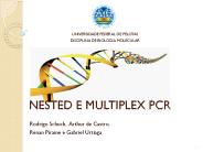 NESTED%20E%20MULTIPLEX%20PCR