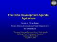 The Doha Development Agenda: Agriculture PowerPoint PPT Presentation
