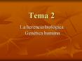 Tema 2 PowerPoint PPT Presentation