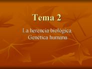 Tema 2