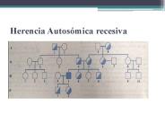Herencia Autos