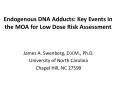 Endogenous DNA Adducts: Key Events in the MOA for Low Dose Risk Assessment PowerPoint PPT Presentation