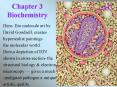 Chapter 3 Biochemistry PowerPoint PPT Presentation