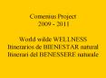 Comenius Project 2009 - 2011  World wilde WELLNESS Itinerarios de BIENESTAR natural Itinerari del BENESSERE naturale PowerPoint PPT Presentation