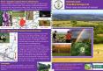 A healthy heritage trail PowerPoint PPT Presentation