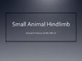 Small Animal Hindlimb PowerPoint PPT Presentation