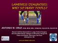LAMENESS DIAGNOSES: WHY SO MANY TOOLS? PowerPoint PPT Presentation