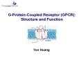 G-Protein-Coupled Receptor (GPCR): Structure and Function PowerPoint PPT Presentation