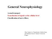 General Neurophysiology