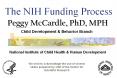 The NIH Funding Process PowerPoint PPT Presentation