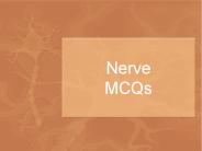 Nerve MCQs