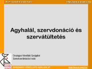 Agyhal