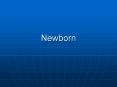 Newborn PowerPoint PPT Presentation