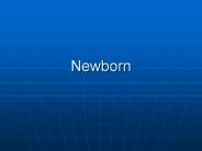 Newborn
