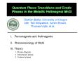 Quantum Phase Transitions and Exotic Phases in the Metallic Helimagnet MnSi PowerPoint PPT Presentation