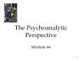 The Psychoanalytic Perspective Module 44 PowerPoint PPT Presentation
