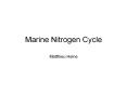 Marine Nitrogen Cycle PowerPoint PPT Presentation