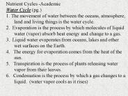 Nutrient Cycles -Academic