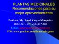 PLANTAS MEDICINALES Recomendaciones para su mejor aprovechamiento PowerPoint PPT Presentation