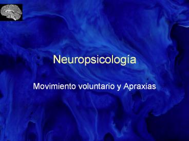 Neuropsicolog