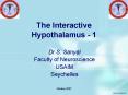 The Interactive Hypothalamus - 1 PowerPoint PPT Presentation