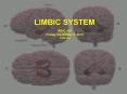 LIMBIC SYSTEM PowerPoint PPT Presentation