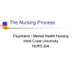 The Nursing Process PowerPoint PPT Presentation