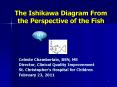 The Ishikawa Diagram From the Perspective of the Fish PowerPoint PPT Presentation