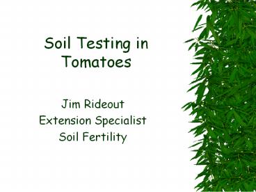 Soil Testing in Tomatoes