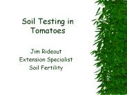 Soil Testing in Tomatoes