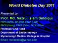 World Diabetes Day 2011 PowerPoint PPT Presentation
