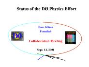 Status of the D