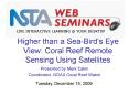 Higher than a Sea-Bird's Eye View: Coral Reef Remote Sensing Using Satellites PowerPoint PPT Presentation