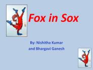 Fox in Sox