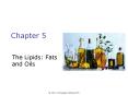 The Lipids: Fats and Oils PowerPoint PPT Presentation