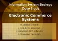 Information System Strategy Case Study PowerPoint PPT Presentation