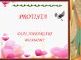 PROTISTA PowerPoint PPT Presentation