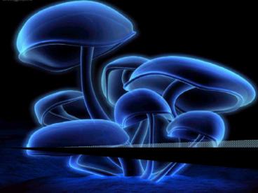 PERANAN MIKROORGANISME DALAM KEHIDUPAN MANUSIA