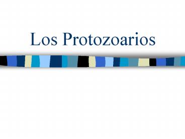 Los Protozoarios