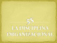 5S LA DISCIPLINA ORGANIZACIONAL